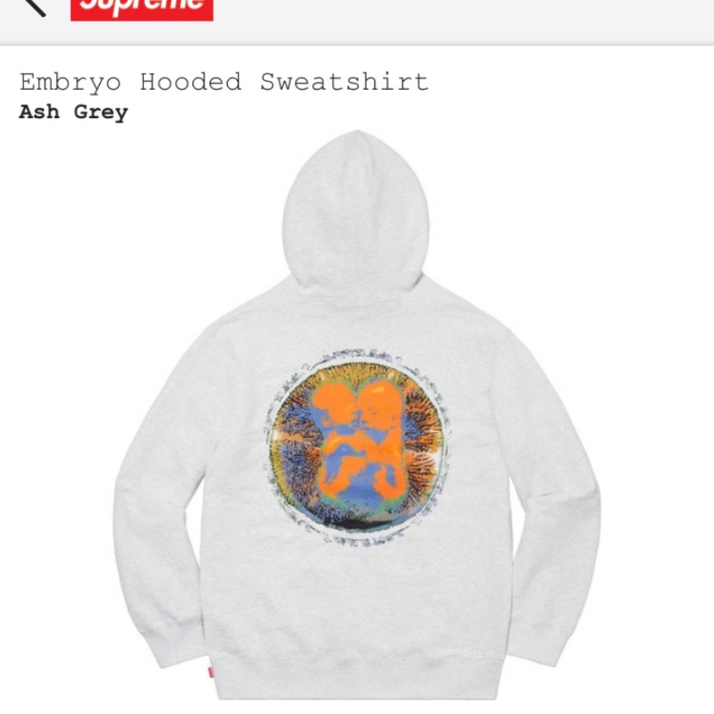 Supreme Embryo Hoodie